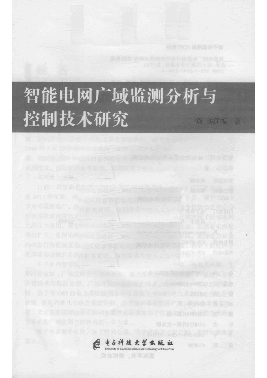 智能电网广域监测分析与控制技术研究_陈国振著.pdf_第2页