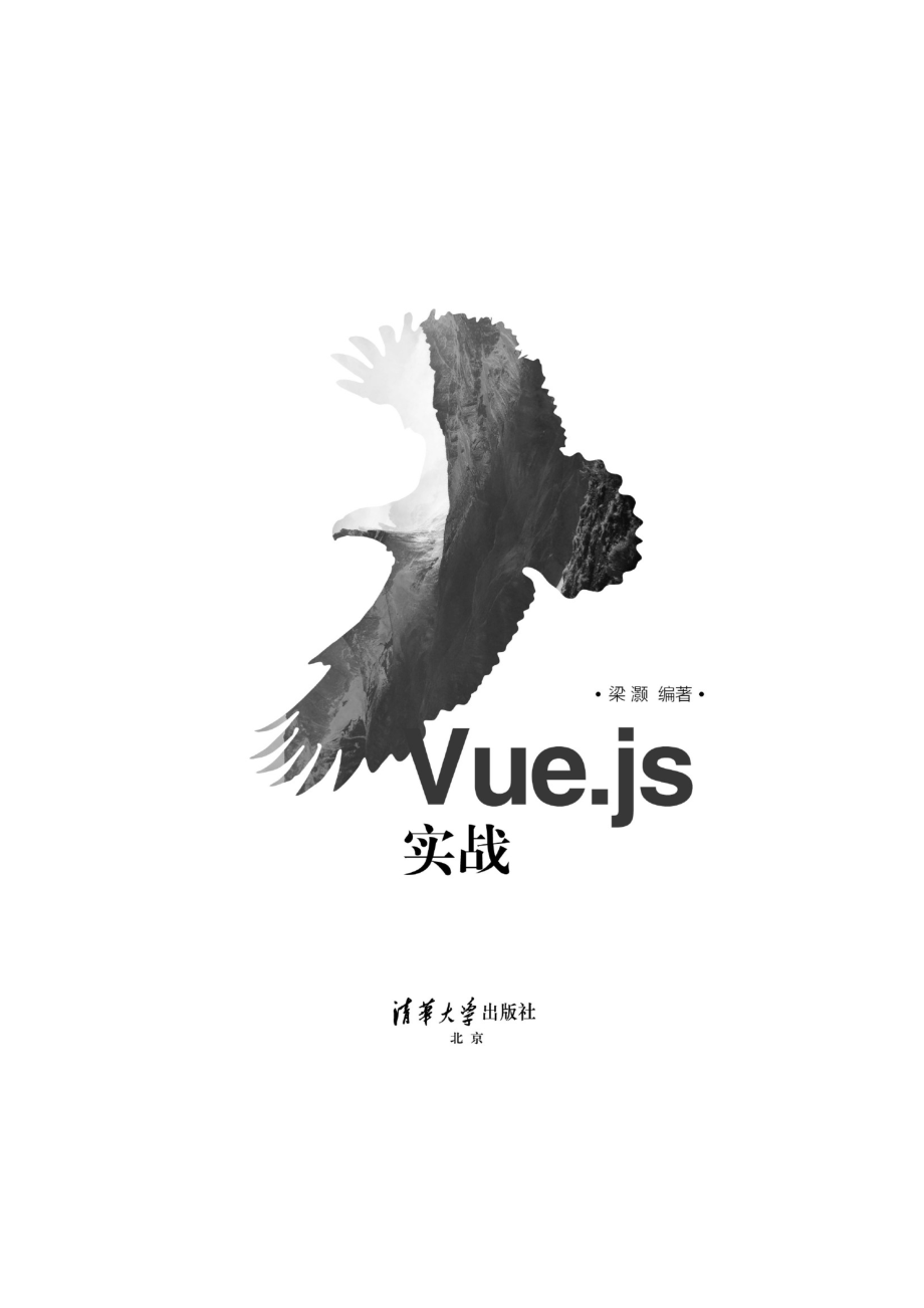 Vue.js实战.pdf_第2页