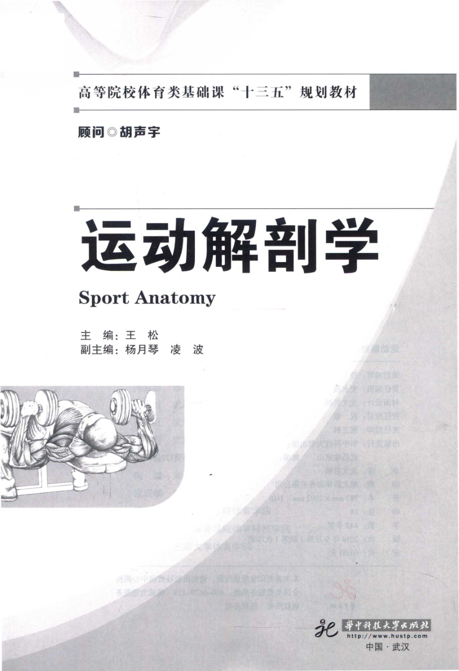 运动解剖学 王松 武体.pdf_第3页