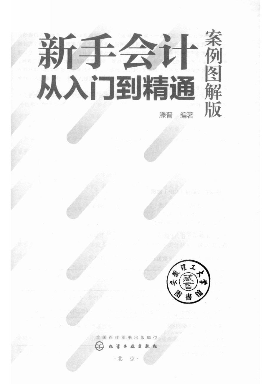 新手会计从入门到精通案例图解版_14580317.pdf_第2页