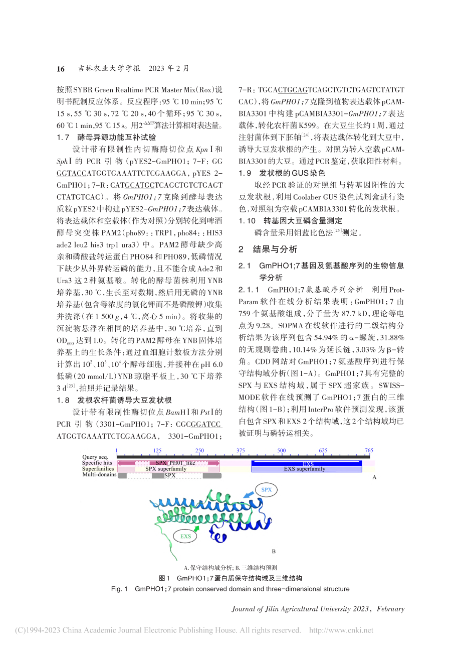 大豆磷转运蛋白GmPHO1...7基因克隆、表达分析与功能_刘丽薇.pdf_第3页