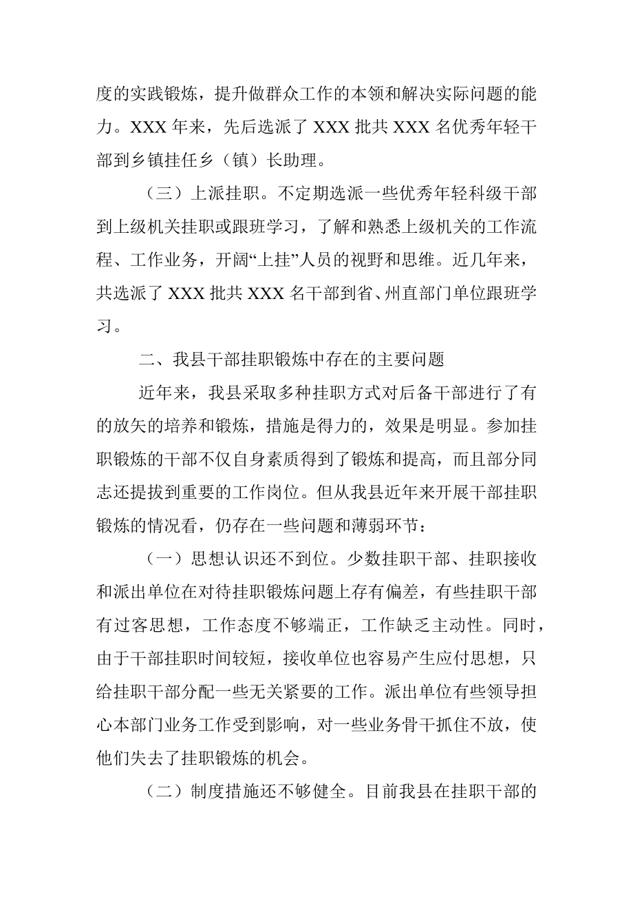 挂职干部工作调研报告.docx_第2页