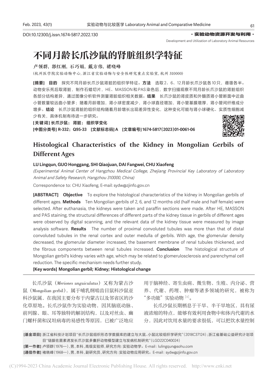 不同月龄长爪沙鼠的肾脏组织学特征_卢领群.pdf_第1页