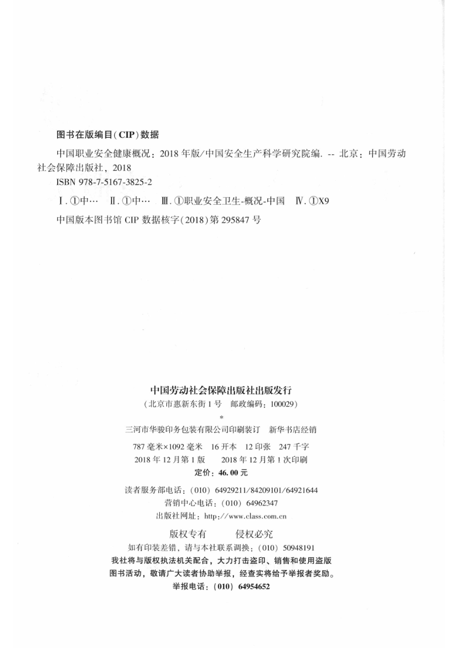 中国职业安全健康概况2018版_中国安全生产科学研究院编.pdf_第3页