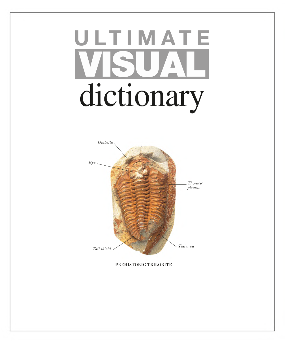 Ultimate Visual Dictionary.pdf_第3页