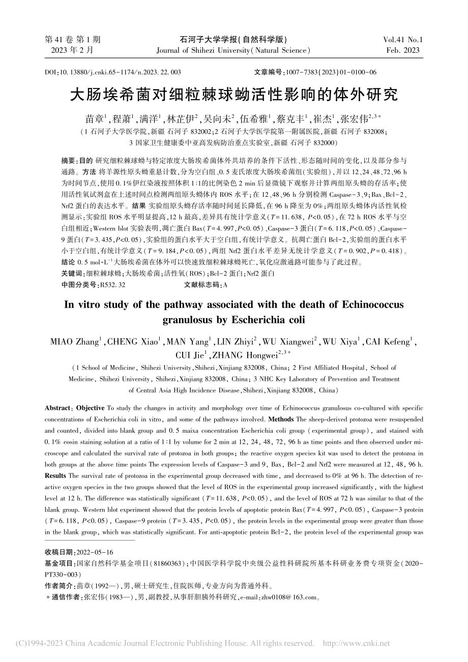 大肠埃希菌对细粒棘球蚴活性影响的体外研究_苗章.pdf_第1页