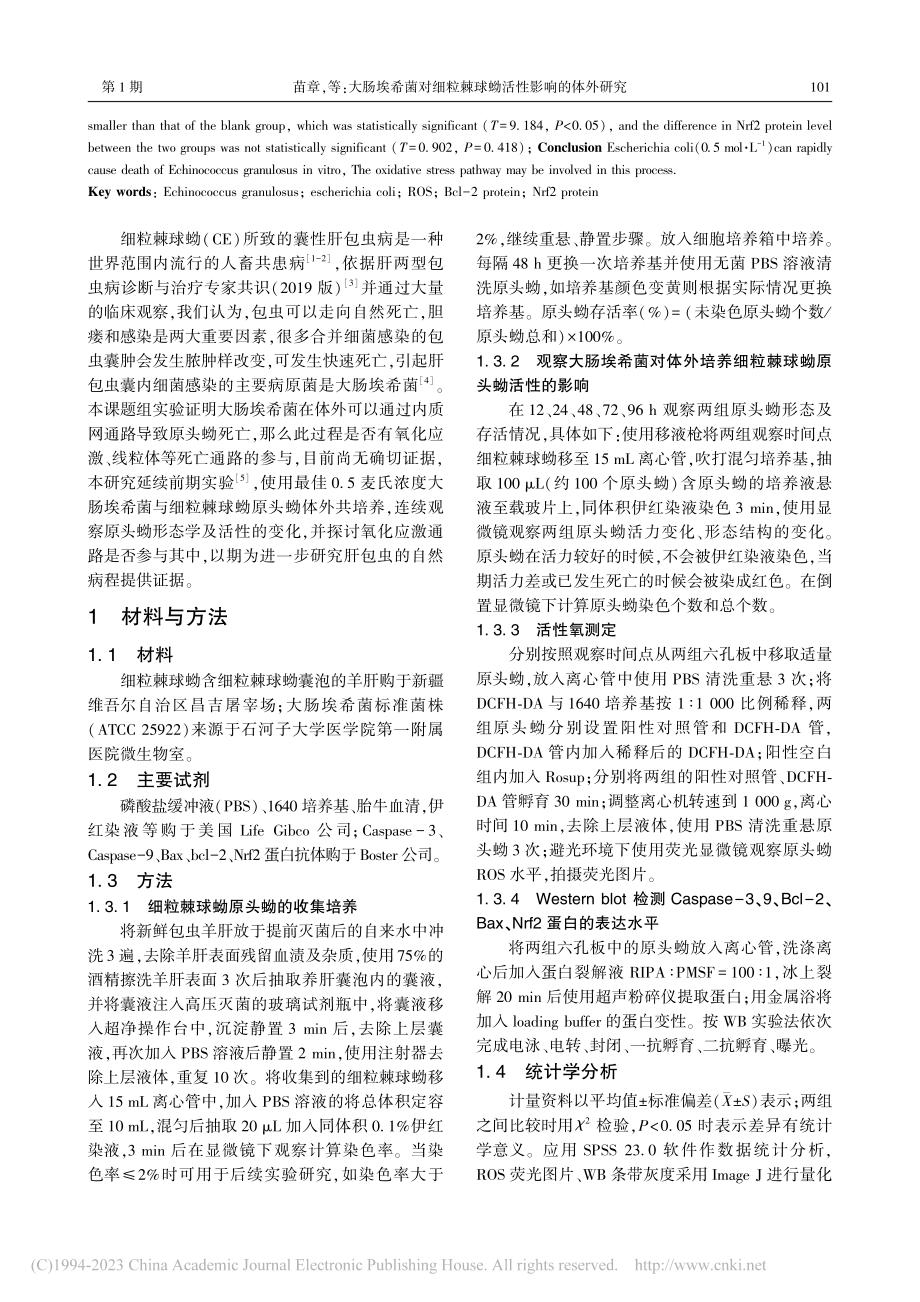 大肠埃希菌对细粒棘球蚴活性影响的体外研究_苗章.pdf_第2页