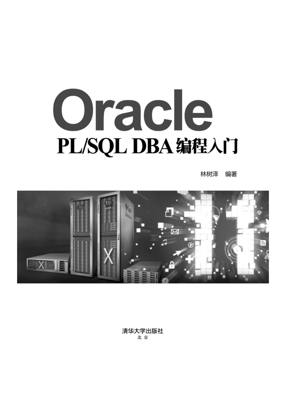 Oracle PL_SQL DBA编程入门.pdf_第2页