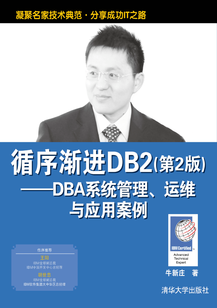 循序渐进DB2（第2版）——DBA系统管理、运维与应用案例.pdf_第1页