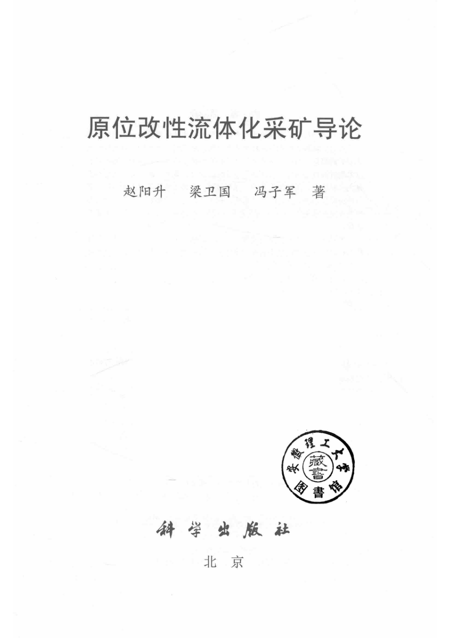 原位改性流体化采矿导论_14594424.pdf_第2页