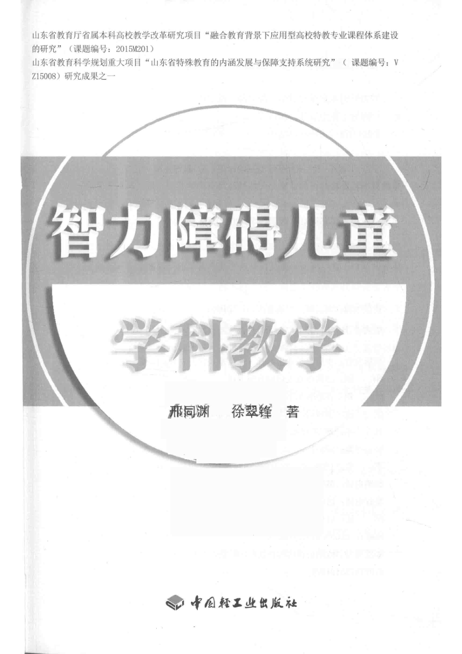 智力障碍儿童学科教学_14644089.pdf_第2页