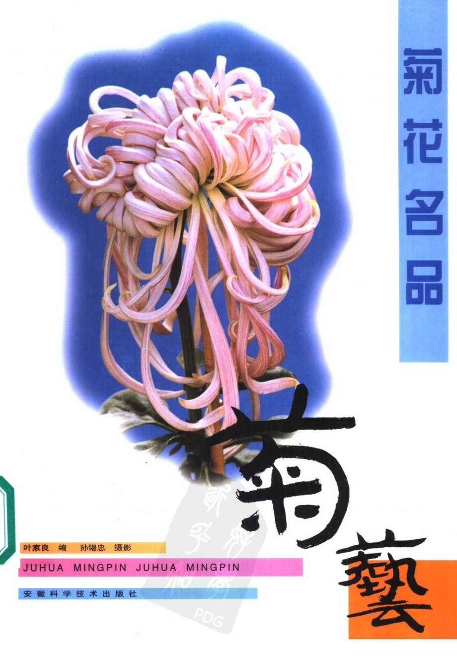 菊花名品_叶家良编_安徽科学技术出版社.pdf_第1页