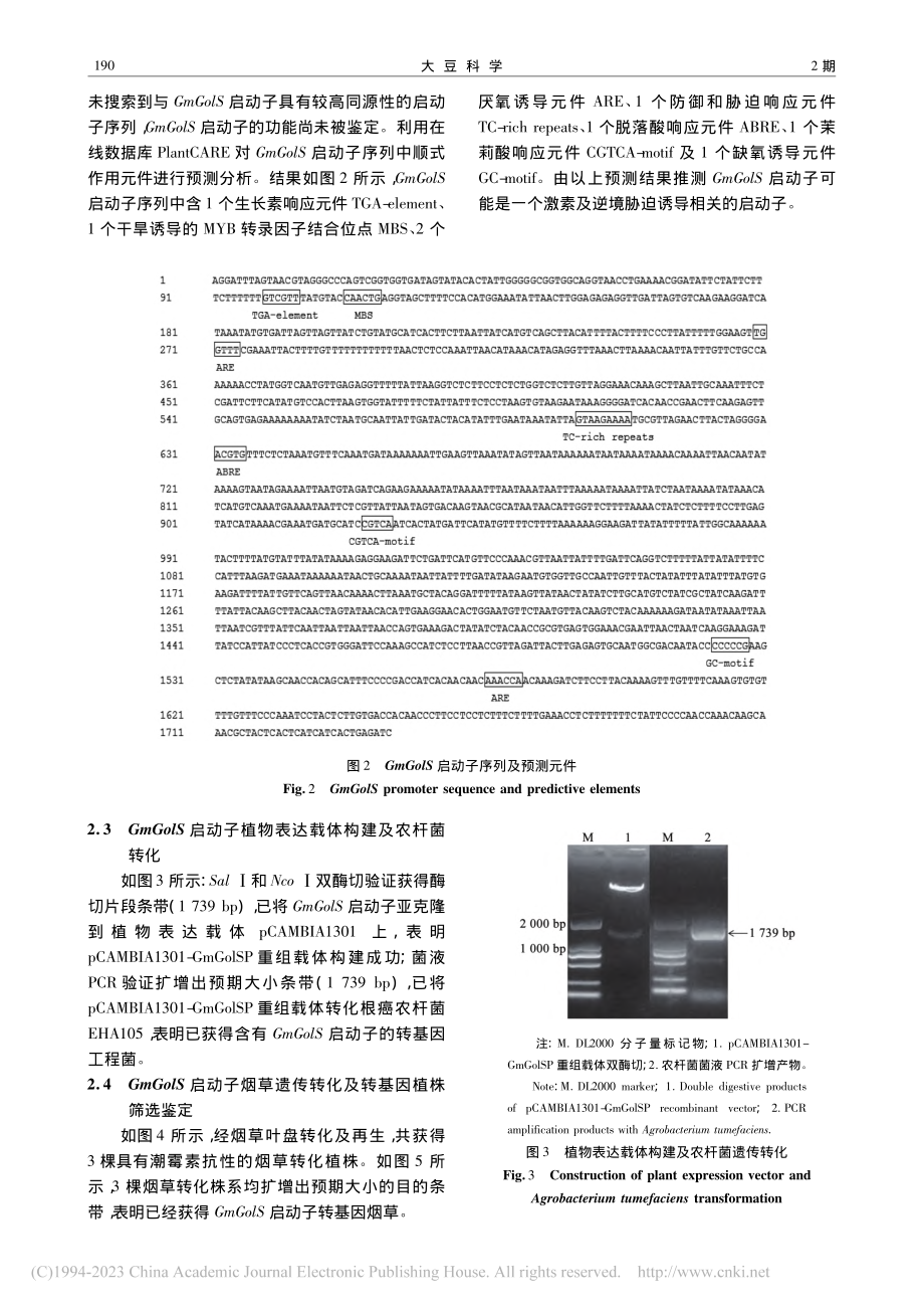 大豆GmGolS基因高温胁迫应答及启动子活性分析_张军.pdf_第3页