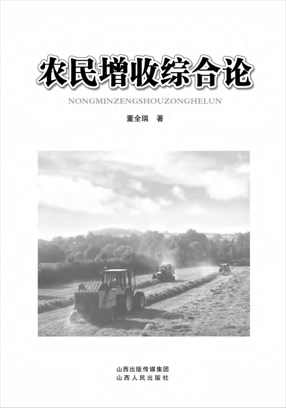 农民增收综合论.pdf_第3页