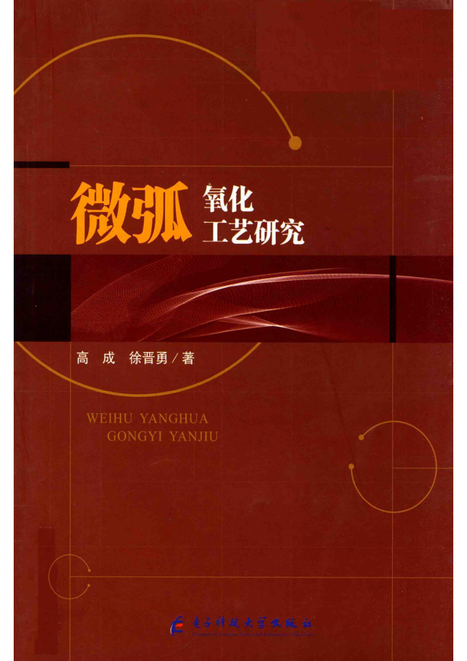 微弧氧化工艺研究_高成徐晋勇著.pdf_第1页