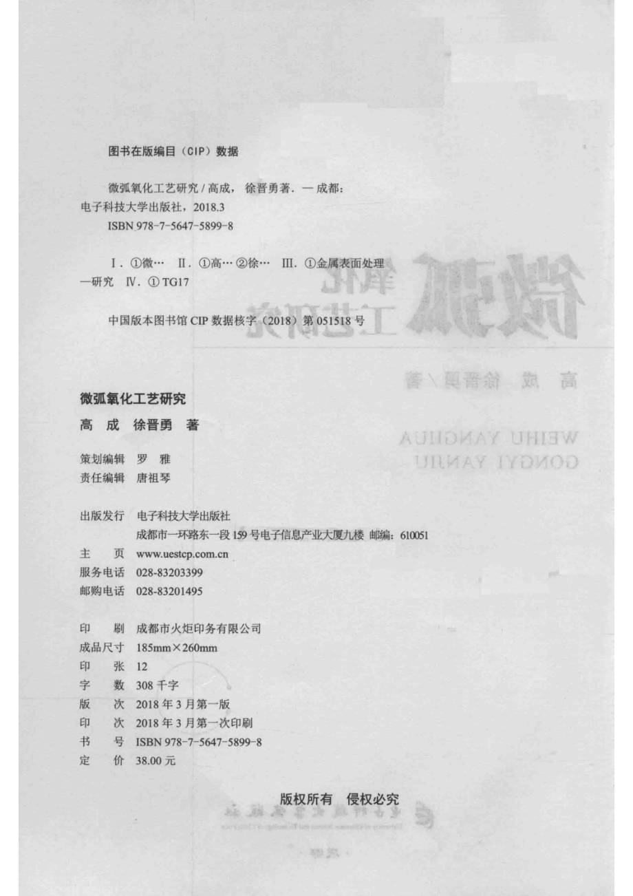 微弧氧化工艺研究_高成徐晋勇著.pdf_第3页