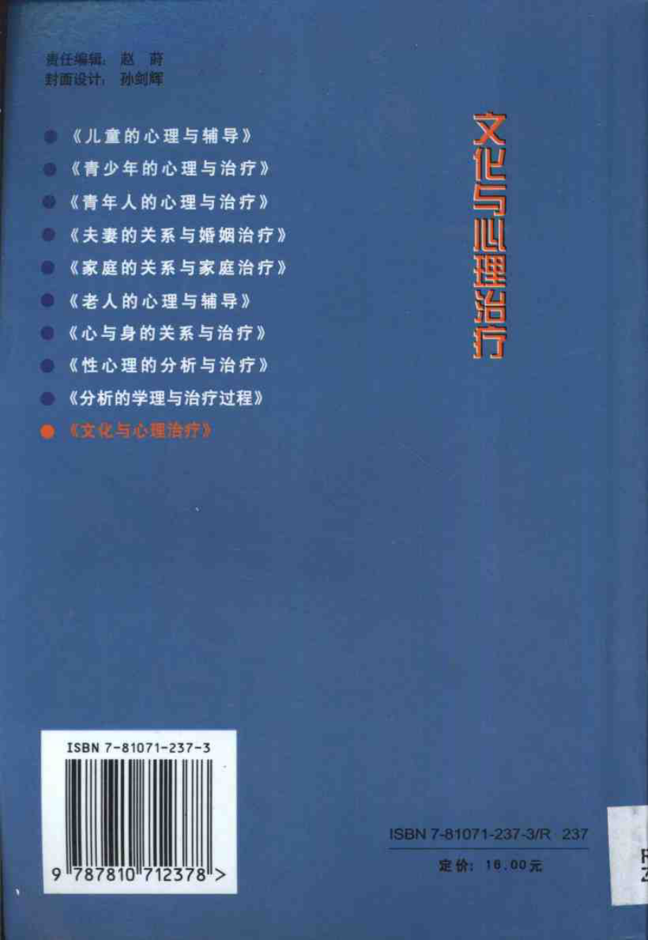 文化与心理治疗 .曾文星.pdf_第2页