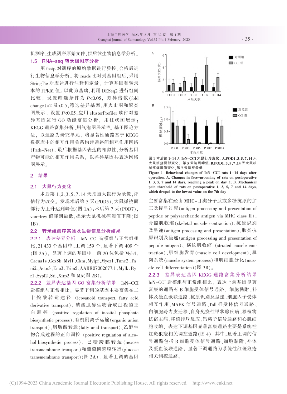 大鼠三叉神经病理性疼痛致病关键转录分子分析_刘玥旻.pdf_第3页