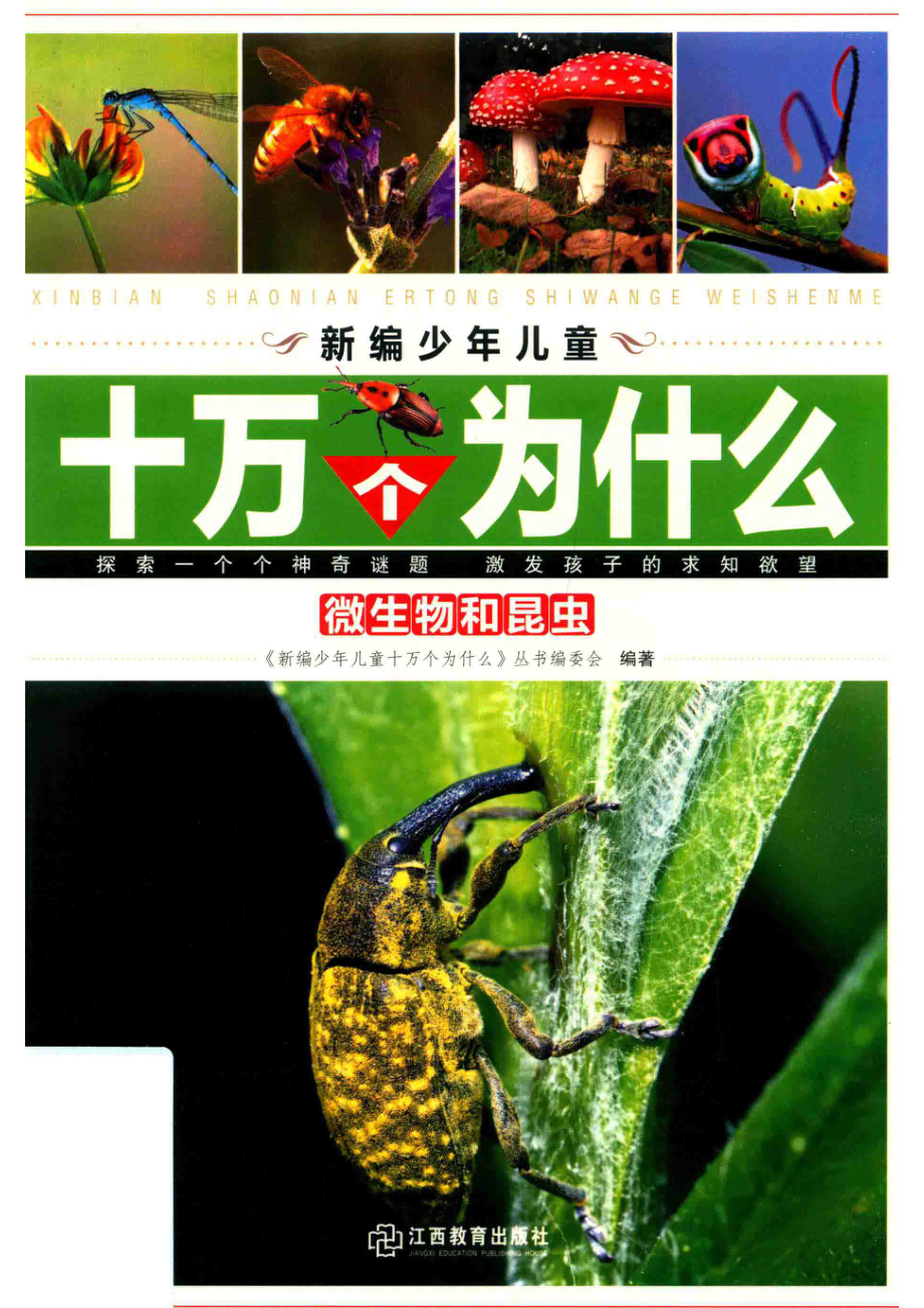 微生物和昆虫_《新编少年儿童十万个为什么》丛书编委会编著.pdf_第1页