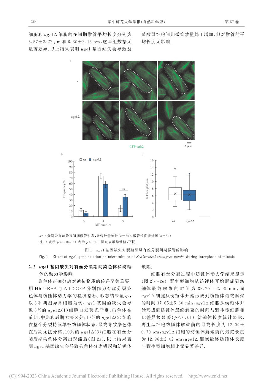 半乳糖代谢酶uge1基因的...有丝分裂中细胞动力学的变化_谭秀梅.pdf_第3页