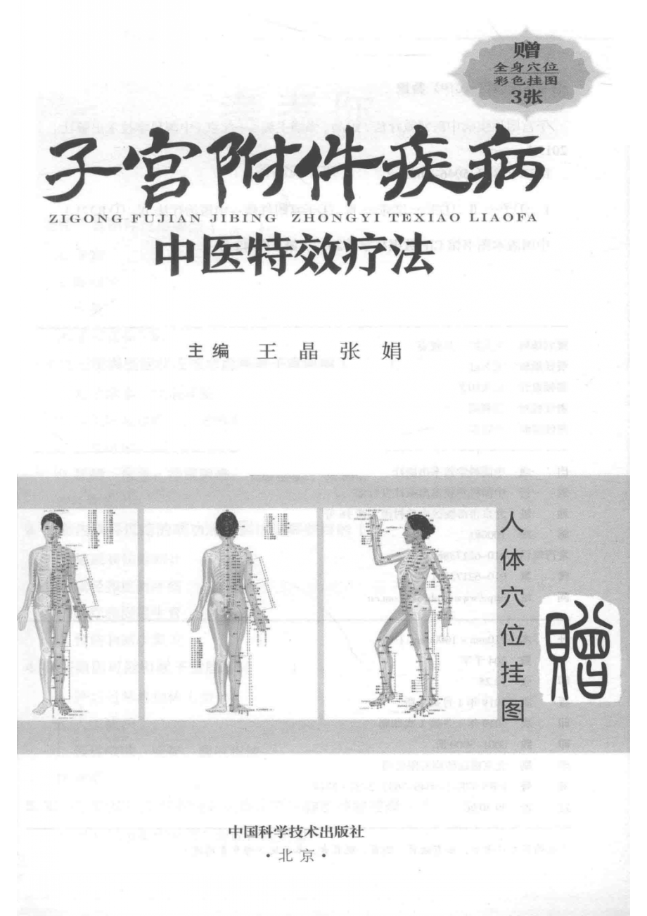 子宫附件疾病中医特效疗法_王晶张娟主编.pdf_第2页