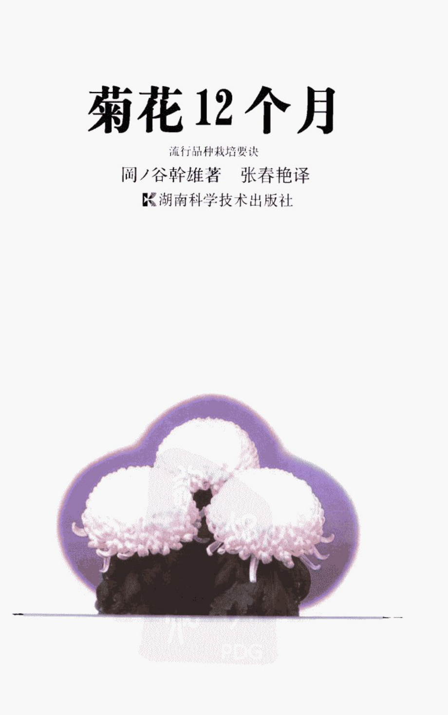 菊花12个月_冈丿谷干雄著张春艳译_湖南科学技术出版社_2002年04月第1版.pdf_第3页