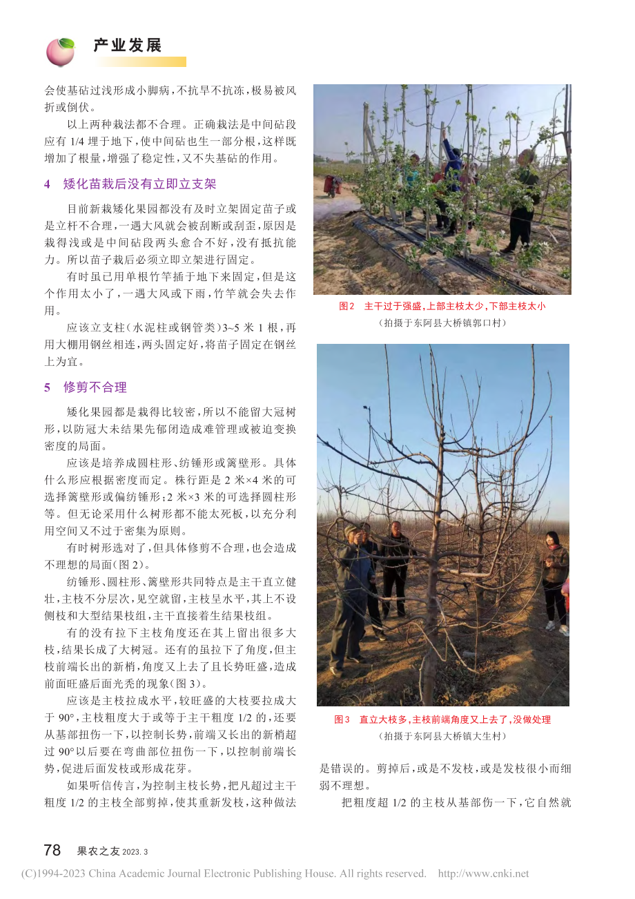 东阿苹果矮化栽培生产中存在的问题及解决对策_谭成来.pdf_第2页