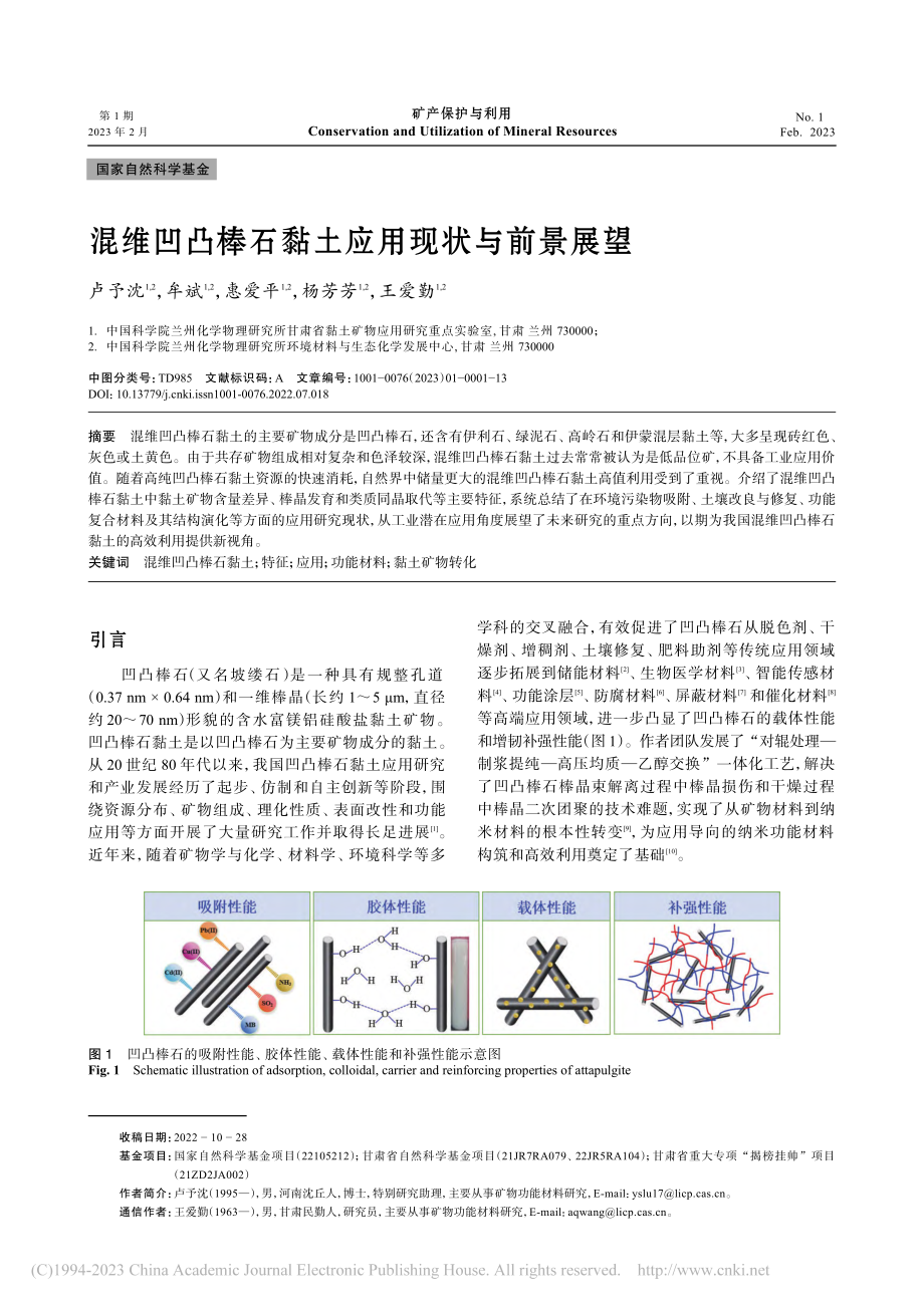 混维凹凸棒石黏土应用现状与前景展望_卢予沈.pdf_第1页