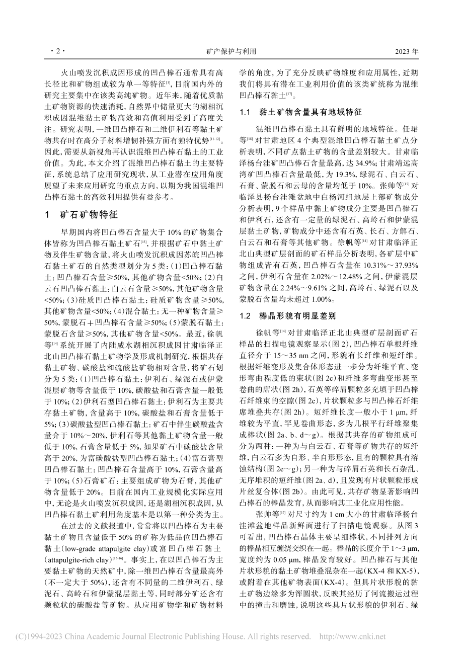 混维凹凸棒石黏土应用现状与前景展望_卢予沈.pdf_第2页