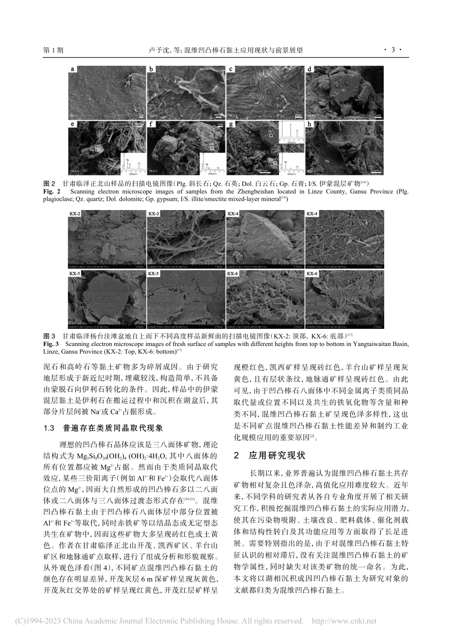 混维凹凸棒石黏土应用现状与前景展望_卢予沈.pdf_第3页