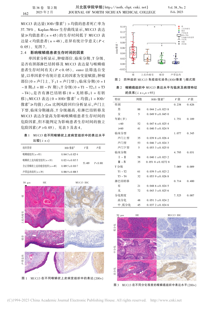 喉鳞状细胞癌组织中MUC13的表达及临床意义_冯成敏.pdf_第3页