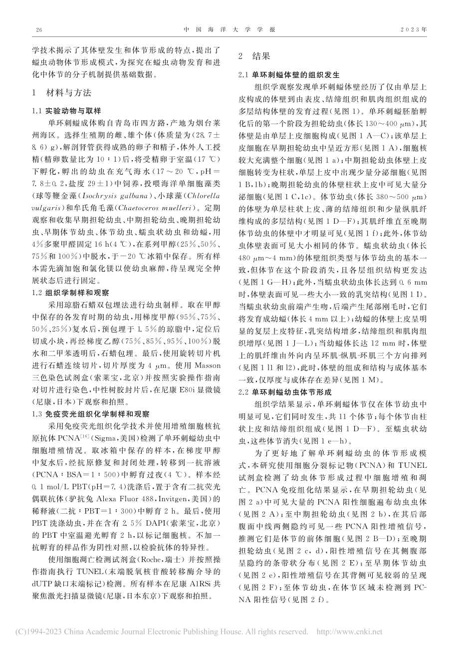 单环刺螠幼虫的体壁发生和体节形成_郑巧军.pdf_第2页