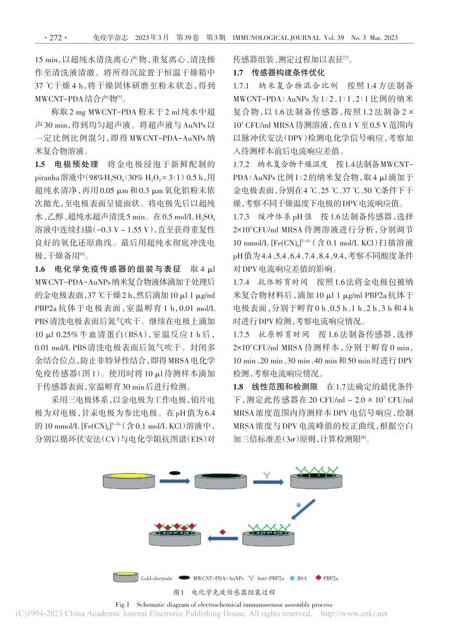 基于PBP2a特异性识别的...测耐甲氧西林金黄色葡萄球菌_曹宇.pdf_第3页