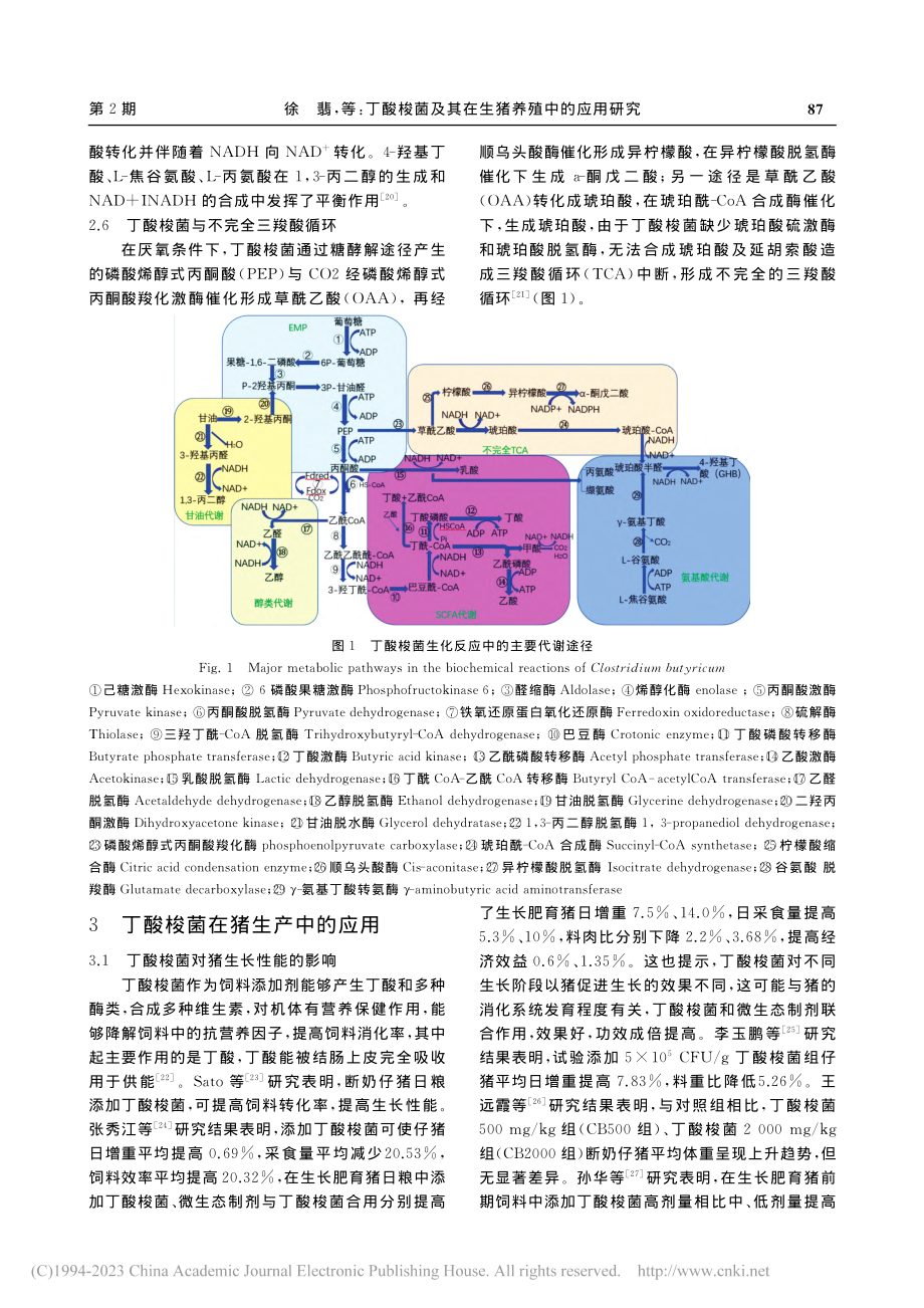 丁酸梭菌及其在生猪养殖中的应用研究_徐翡.pdf_第3页