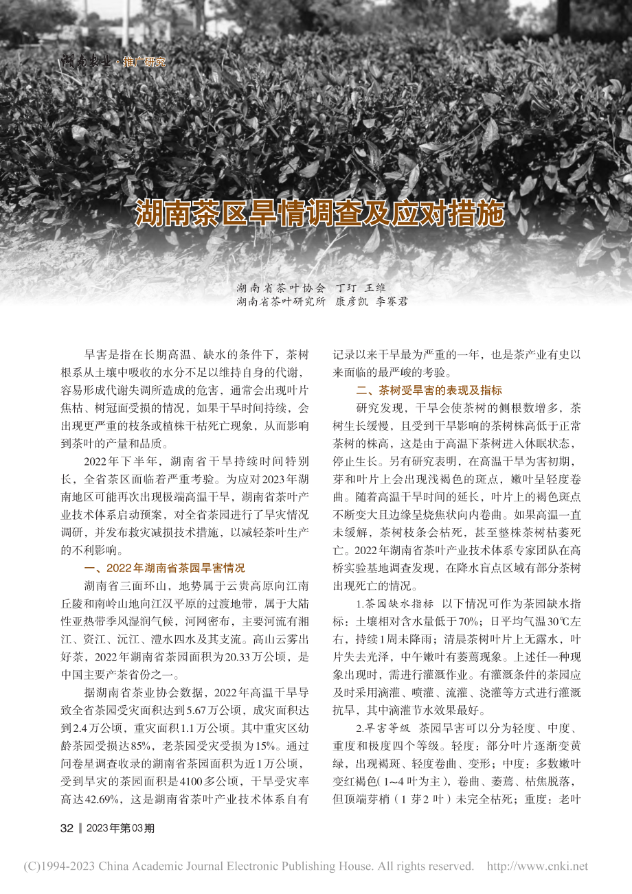 湖南茶区旱情调查及应对措施_丁玎.pdf_第1页