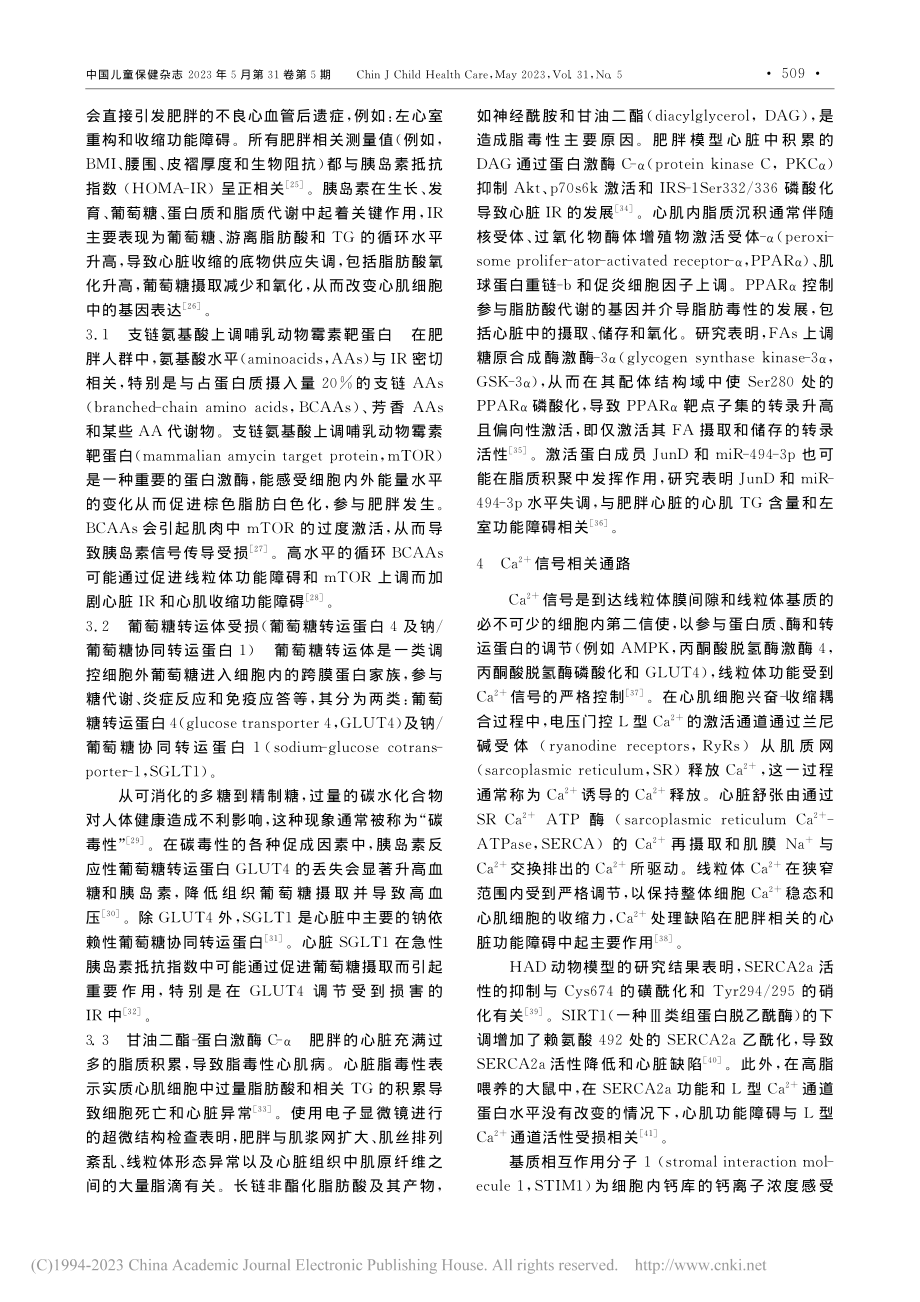 儿童肥胖相关心肌病的分子机制_牛婉侠.pdf_第3页