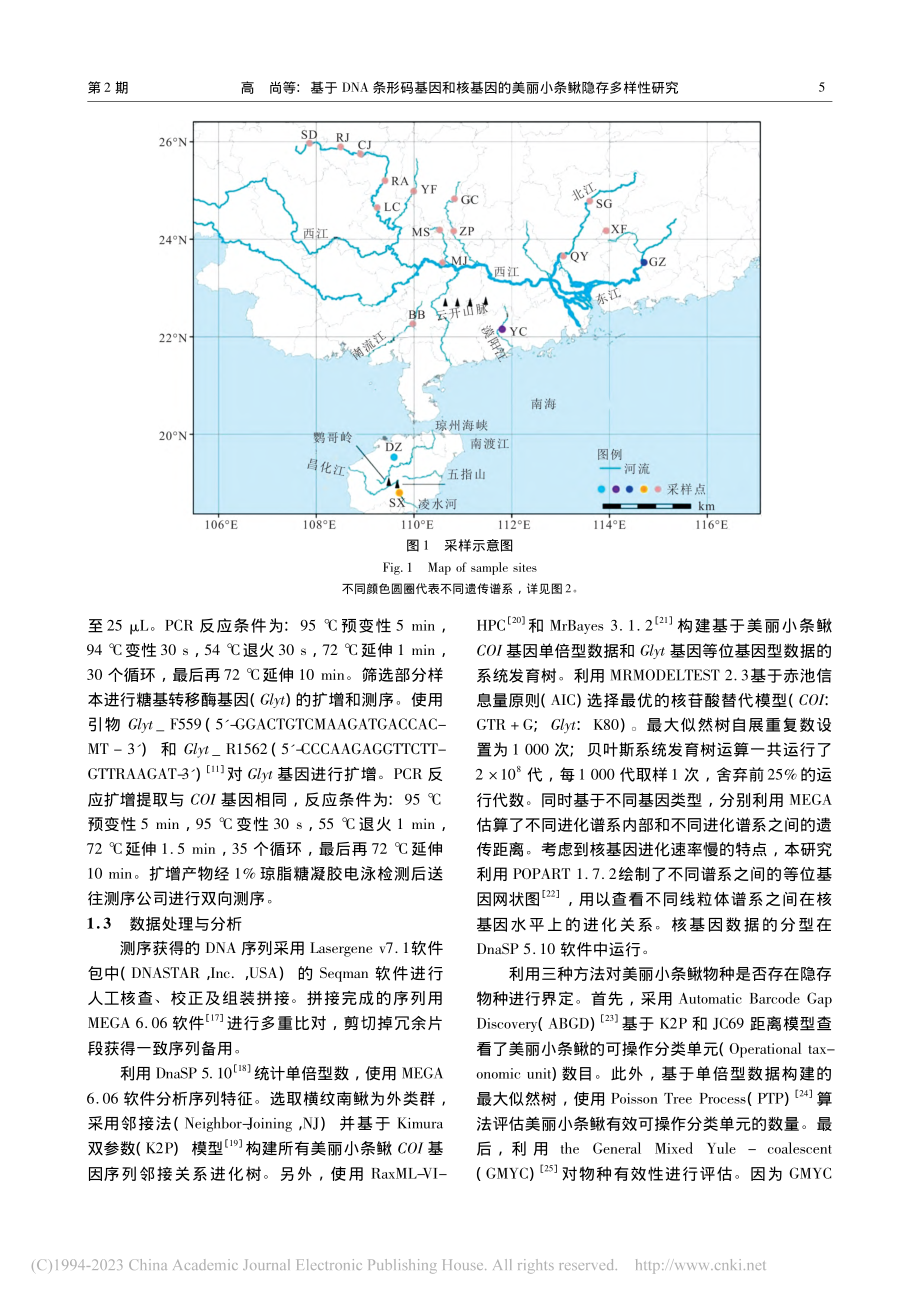 基于DNA条形码基因和核基...的美丽小条鳅隐存多样性研究_高尚.pdf_第3页