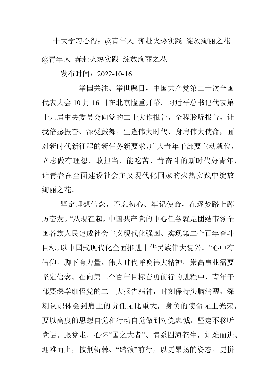 二十大学习心得：@青年人 奔赴火热实践 绽放绚丽之花.docx_第1页