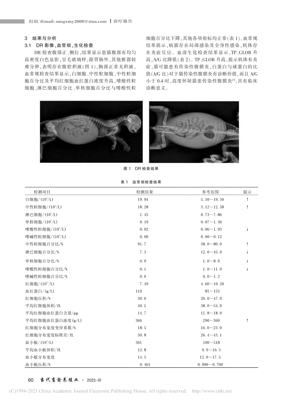 冠状病毒引发缅因猫感染猫传染性腹膜炎的诊断与治疗_张永富.pdf_第2页