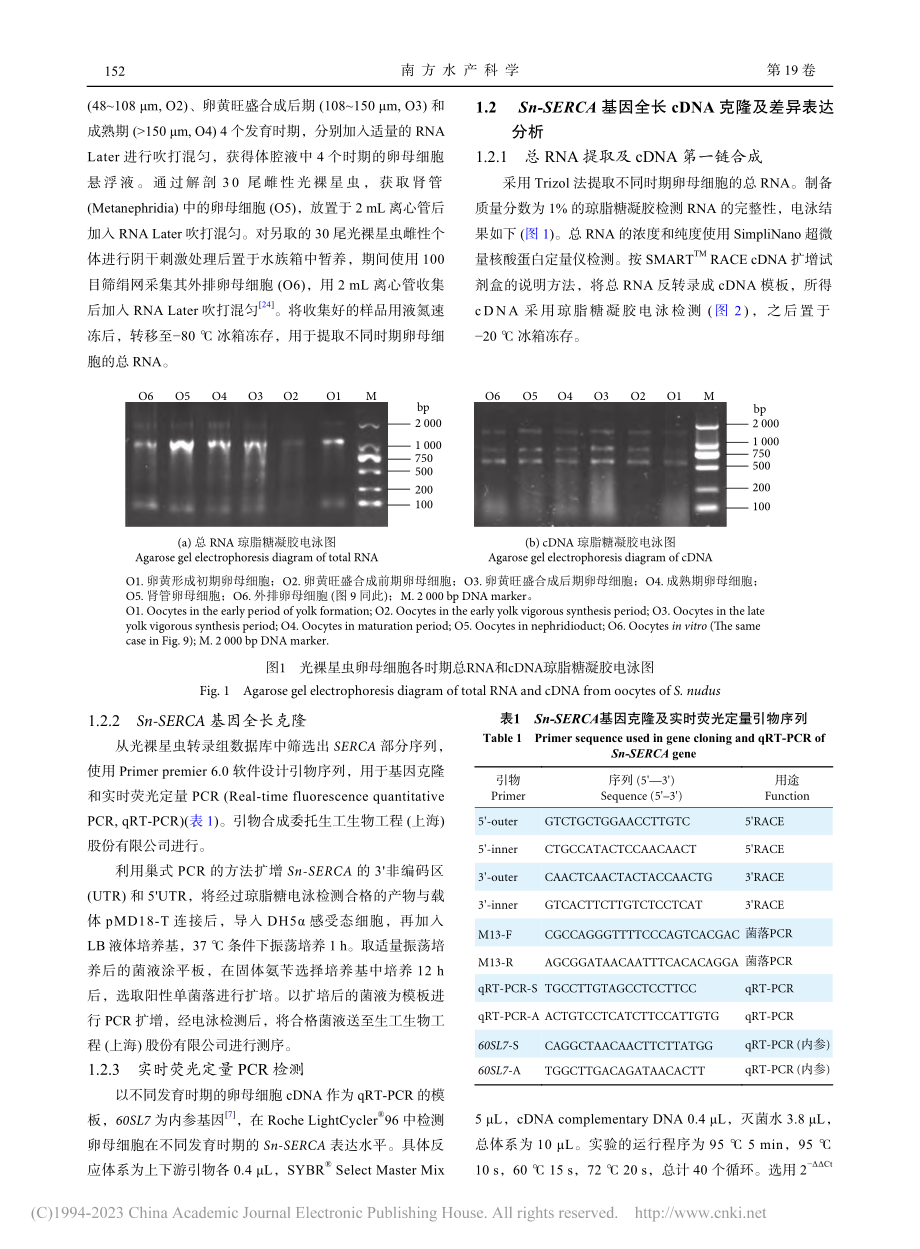 光裸星虫SERCA基因克隆及在卵母细胞中的表达分析_苏泳霖.pdf_第3页