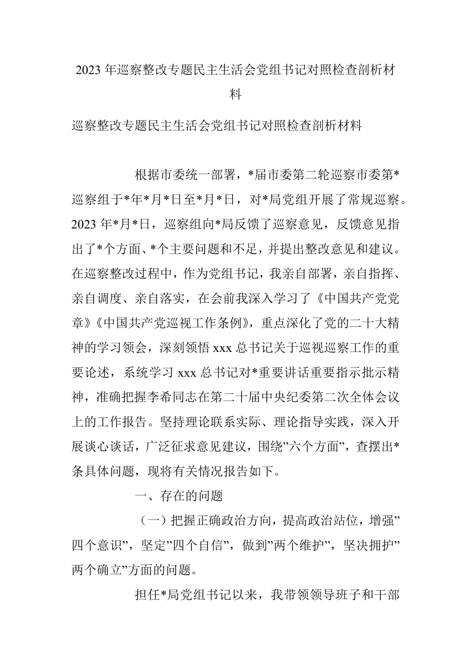 2023年巡察整改专题民主生活会党组书记对照检查剖析材料.docx_第1页