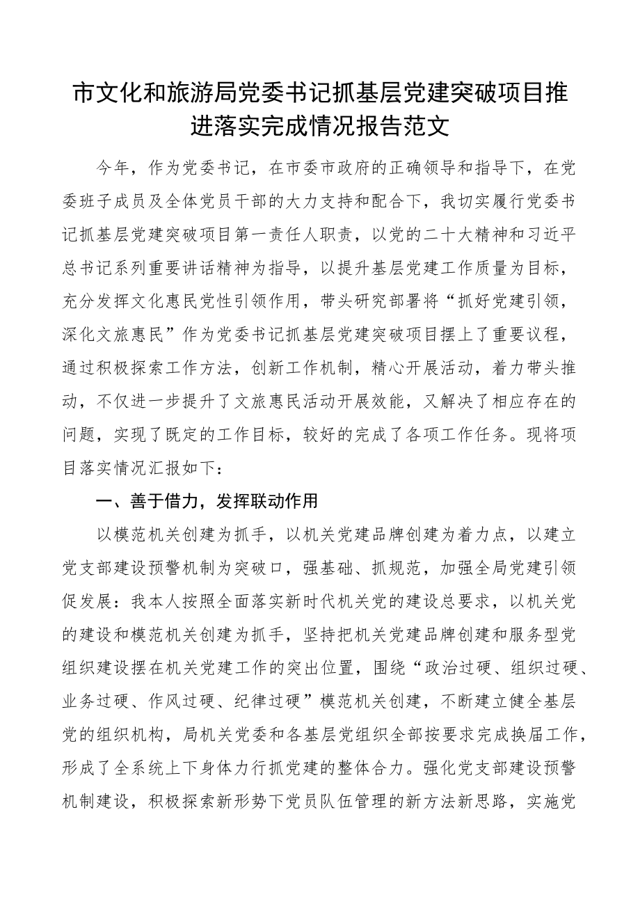 党委书记抓基层党建突破项目报告工作汇报总结.docx_第1页