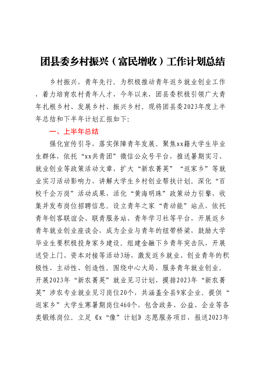 团县委乡村振兴（富民增收）工作计划总结.docx_第1页