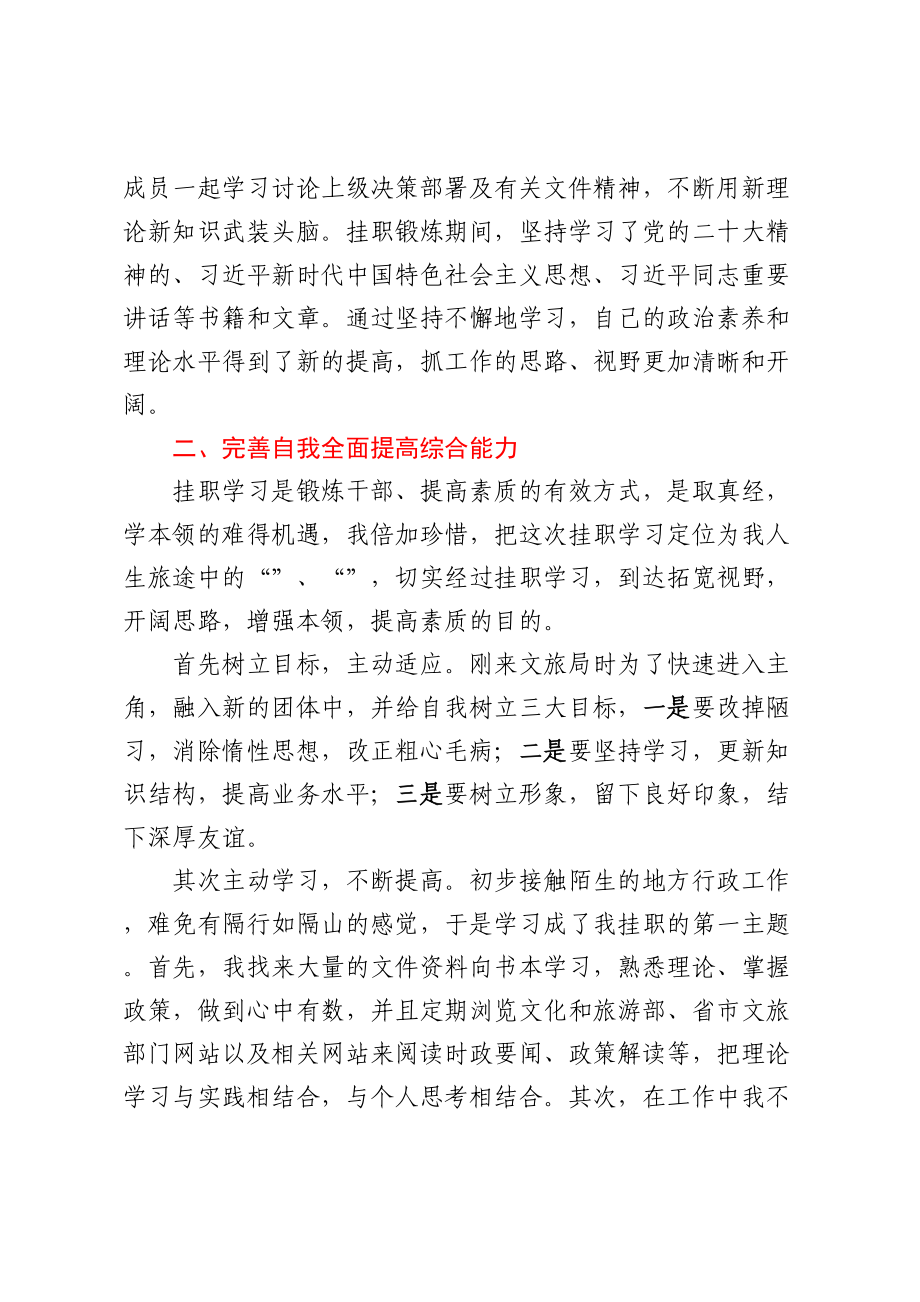 关于全市挂职干部的工作汇报材料  .docx_第2页