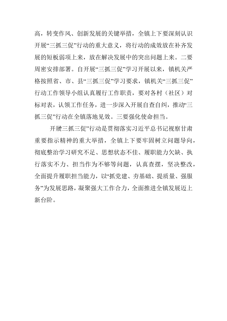 2023年镇召开“三抓三促”行动集中学习会发言材料.docx_第2页