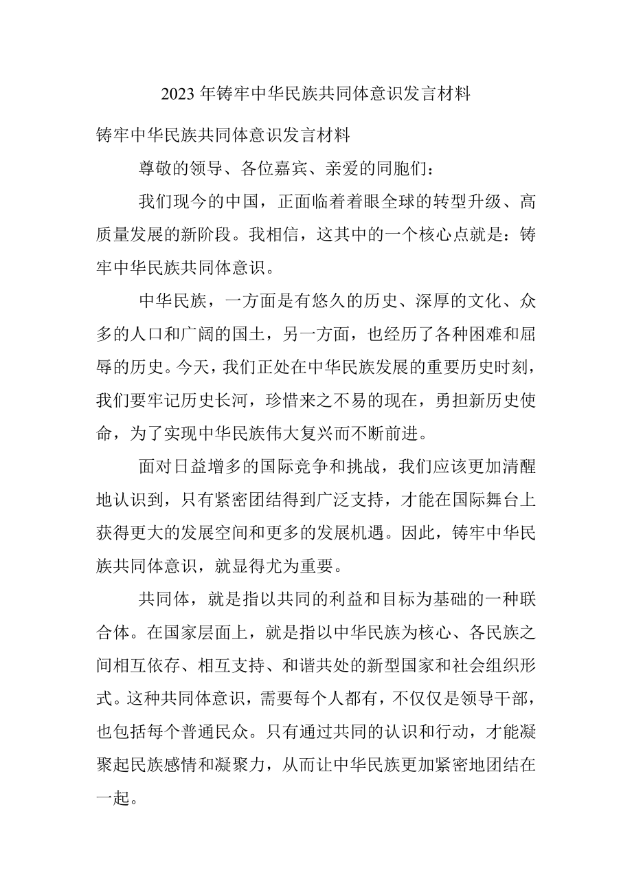 2023年铸牢中华民族共同体意识发言材料.docx_第1页