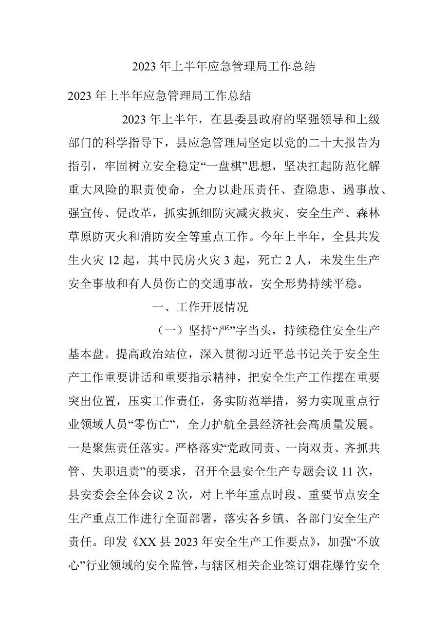 2023年上半年应急管理局工作总结.docx_第1页