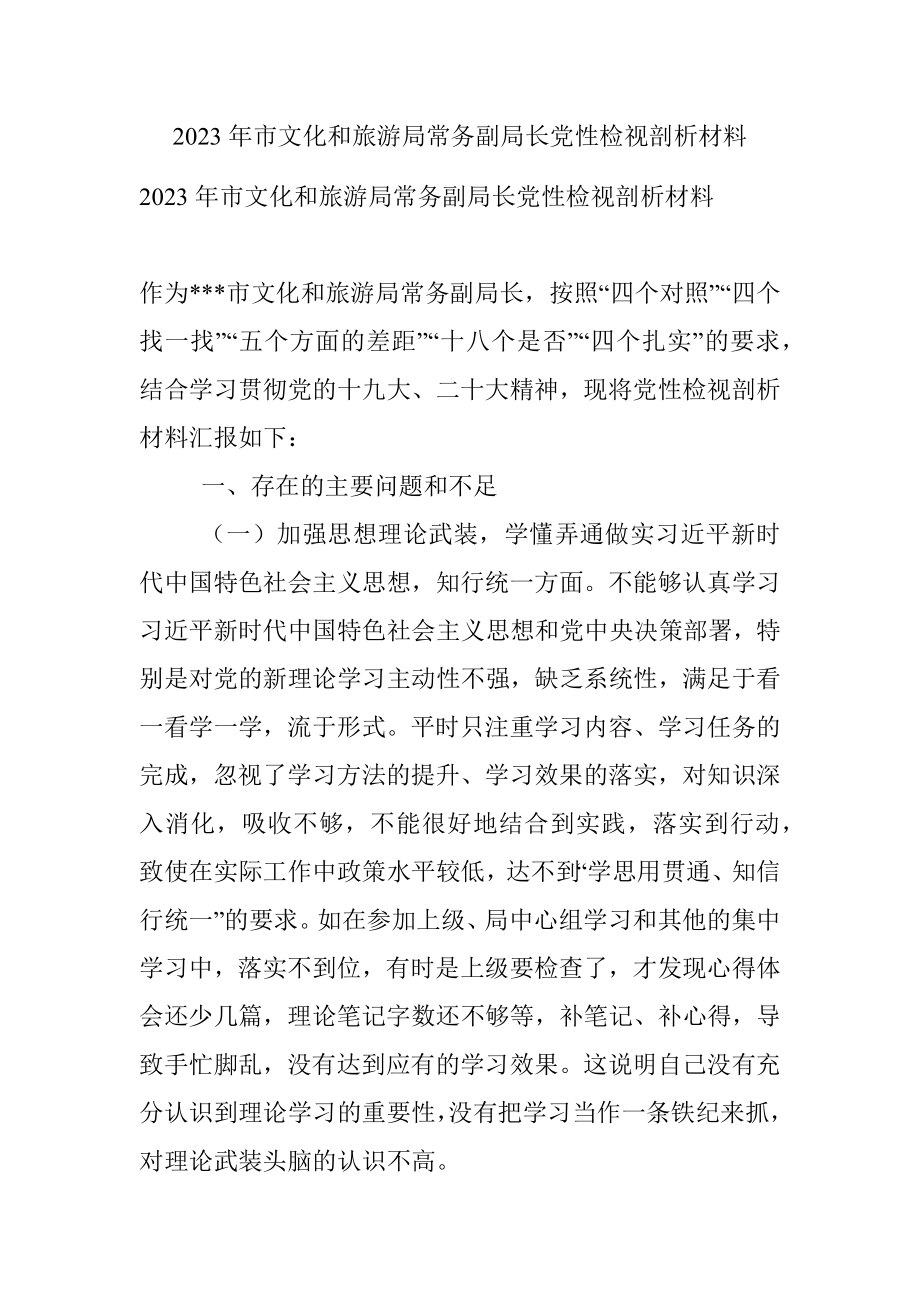 2023年市文化和旅游局常务副局长党性检视剖析材料.docx_第1页