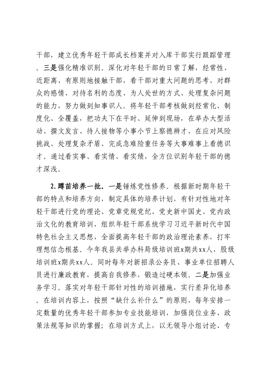 县实施新时代年轻干部成长工程情况汇报 .docx_第2页