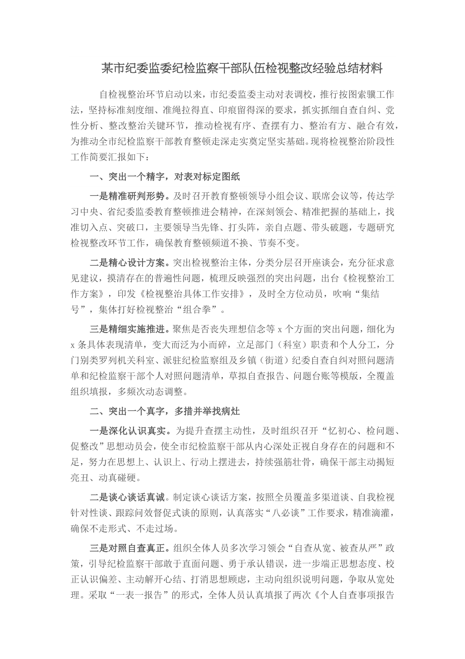 某市纪委监委纪检监察干部队伍检视整改经验总结材料 (2) .docx_第1页